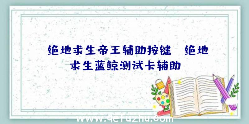 「绝地求生帝王辅助按键」|绝地求生蓝鲸测试卡辅助